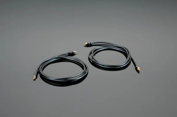 Hardwired RCA Interconnect