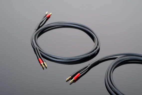 Hardwired Speaker Cable