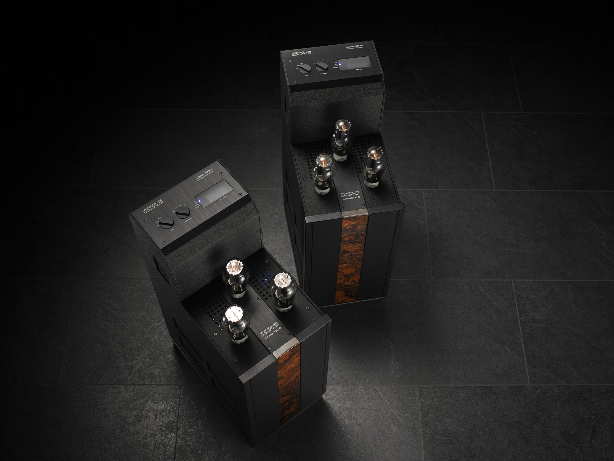 OCTAVE Jubilee 300 B Tube Power Amplifier - Image 3
