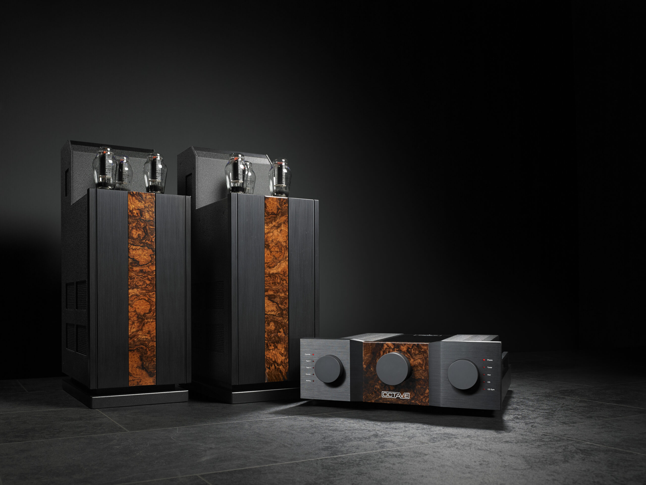 OCTAVE Jubilee 300 B Tube Power Amplifier - Image 2